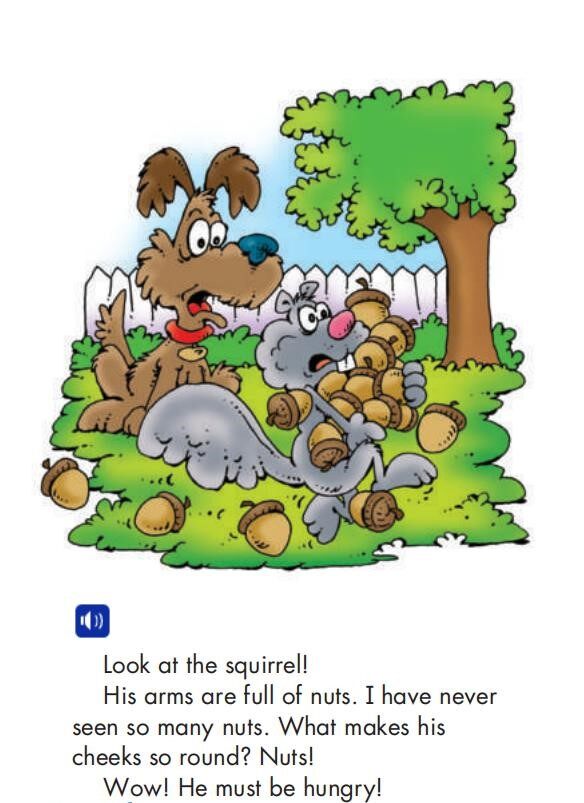 What the Dog Saw绘本故事第4页