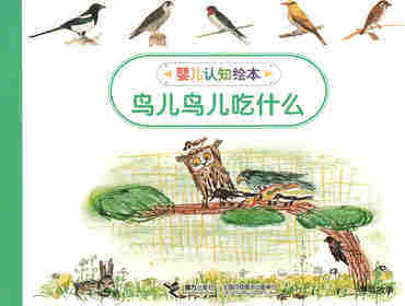 鸟儿鸟儿吃什么