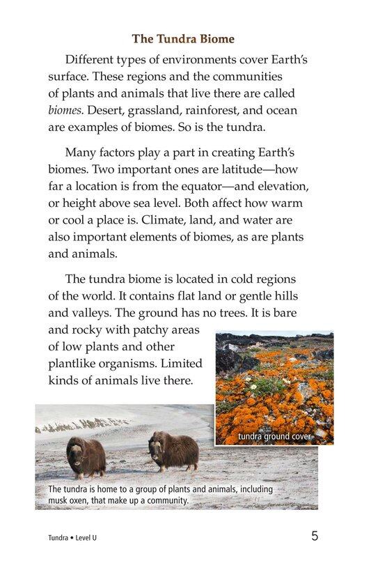 Tundra绘本故事第4页