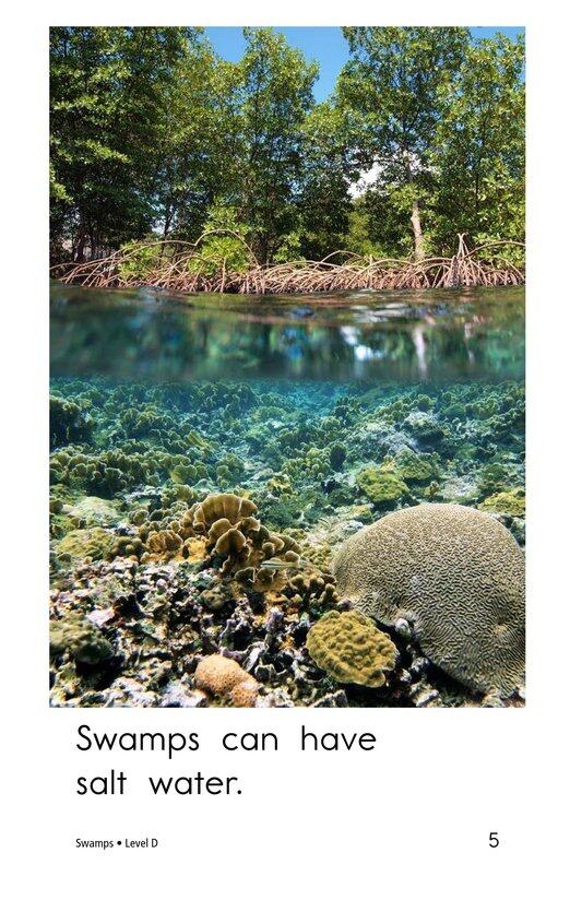 Swamps绘本故事第5页