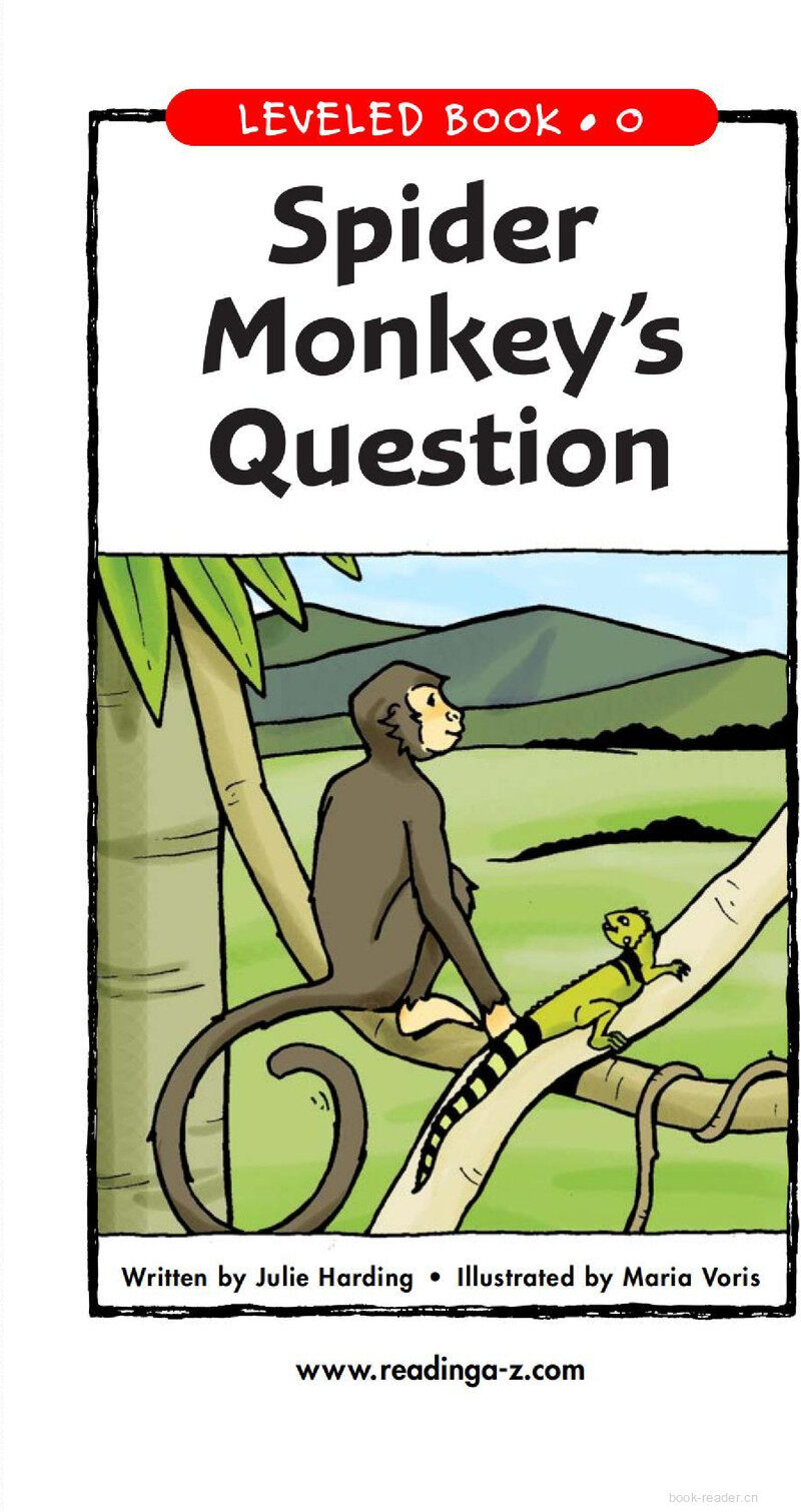 Spider Monkey's Question绘本故事第2页