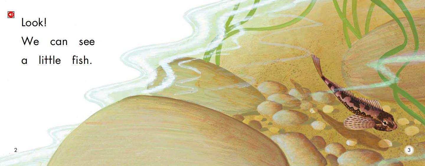 The Tide Pool绘本故事第3页