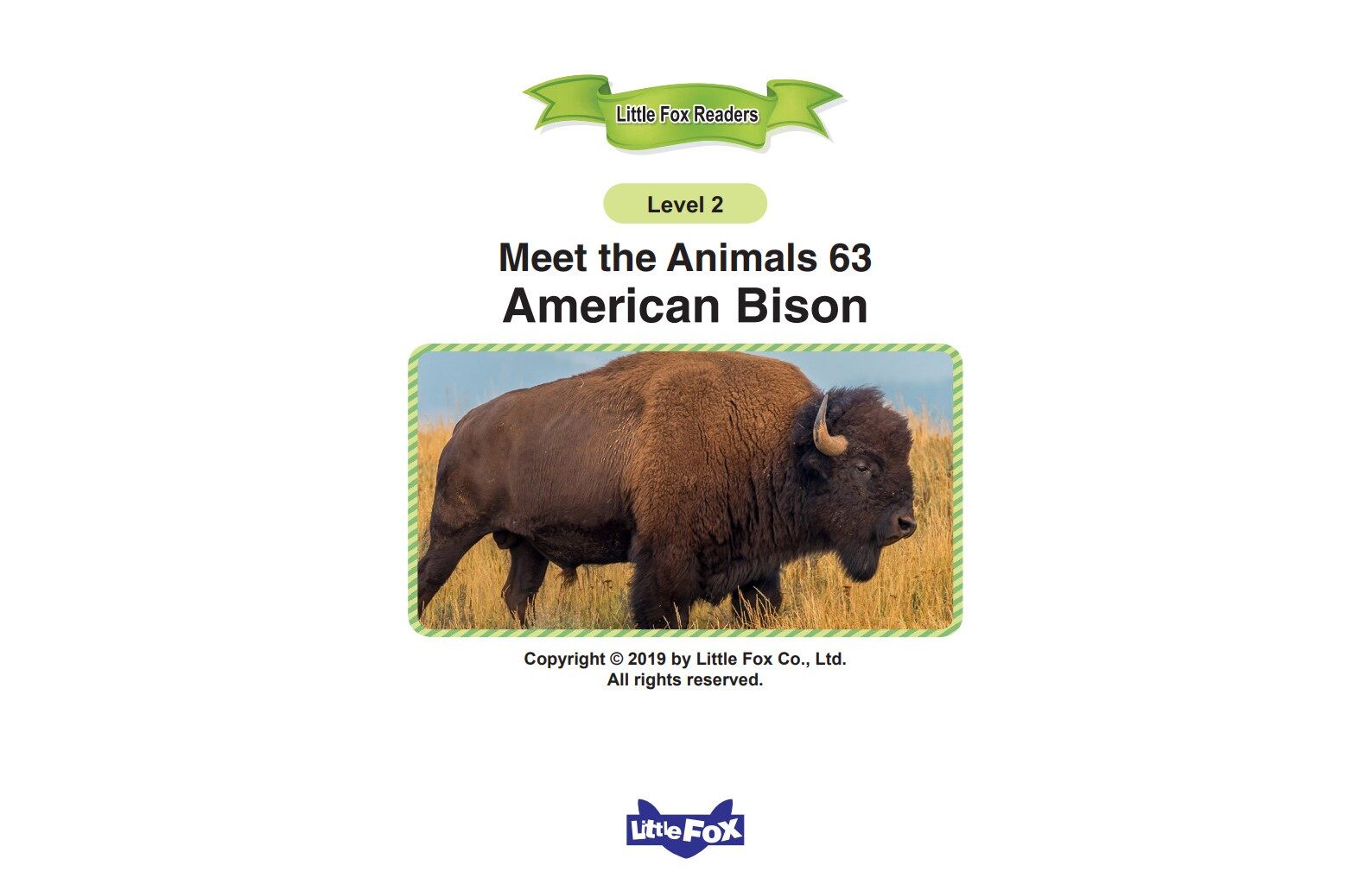 American Bison绘本故事第2页