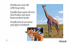 Animals,Animals绘本故事第4页