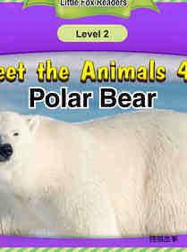 Polar Bear