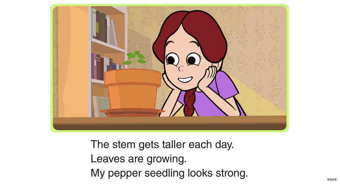 Growing Bell Peppers绘本故事第5页