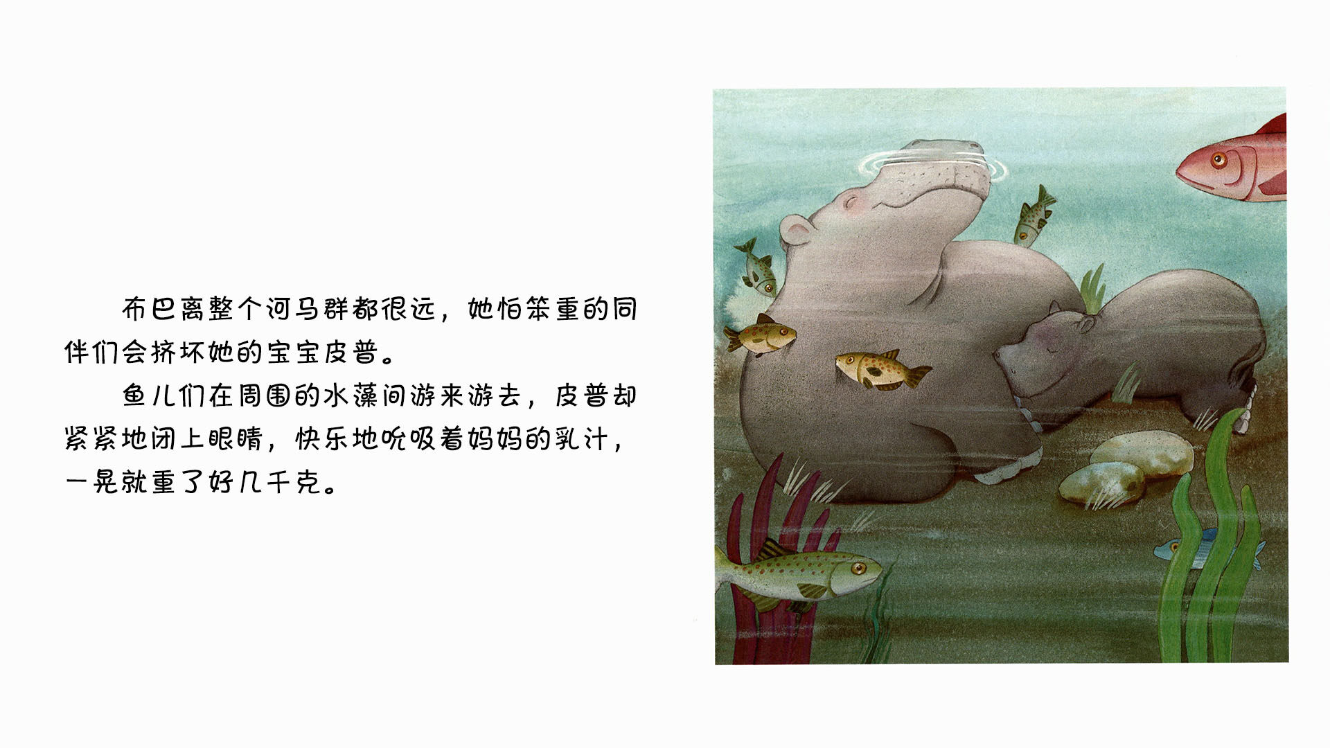 河马绘本故事第5页