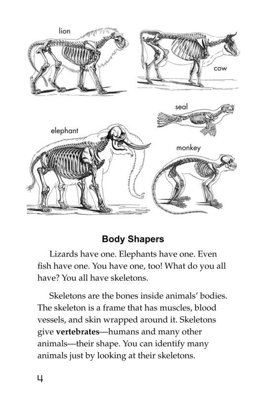 The Hard Stuff! All About Bones绘本故事第3页