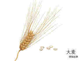 七只青蛙藏在哪儿绘本故事第3页