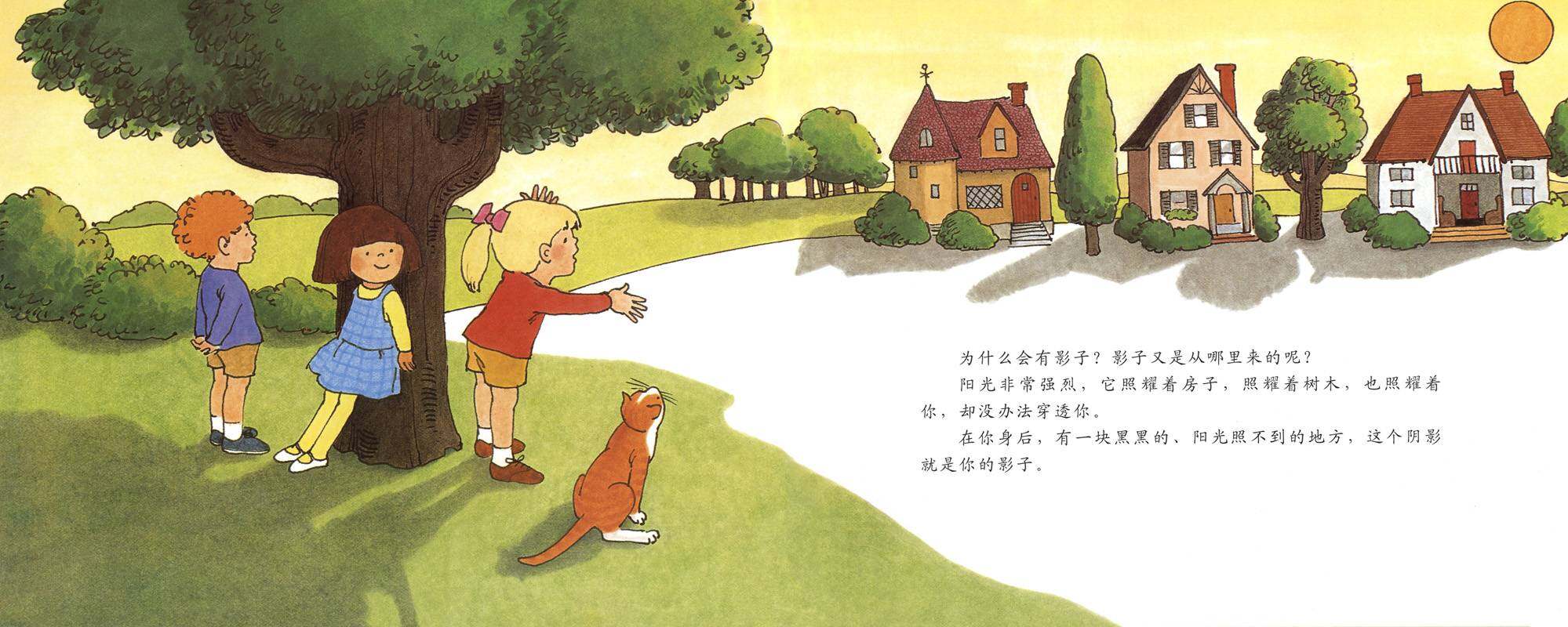 自然科学启蒙（第二辑）——影子是怎么形成的绘本故事第4页