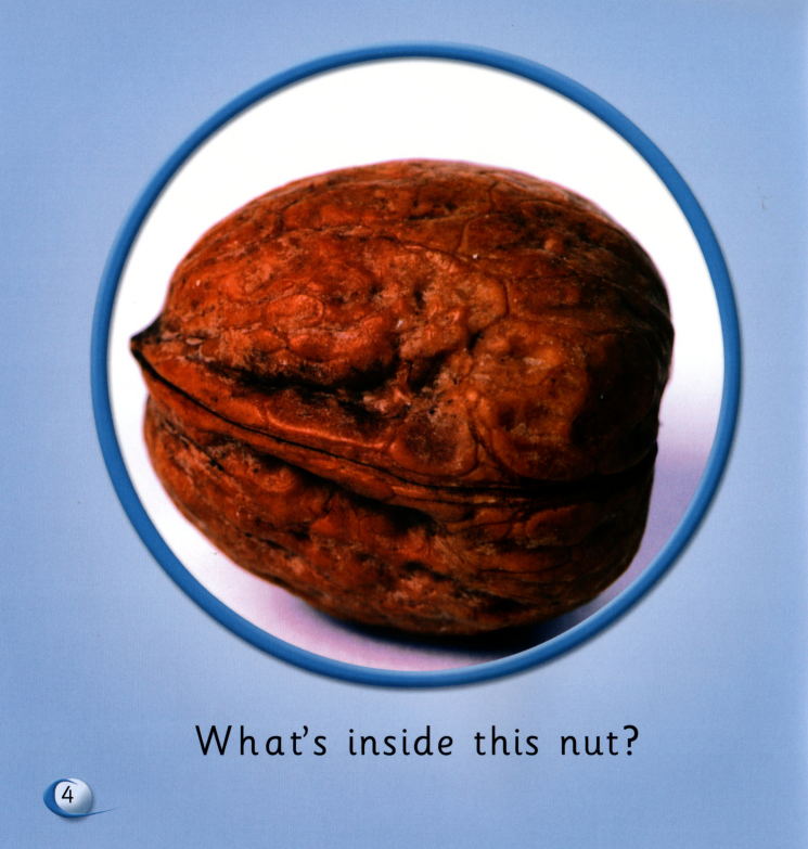 What's inside?绘本故事第4页