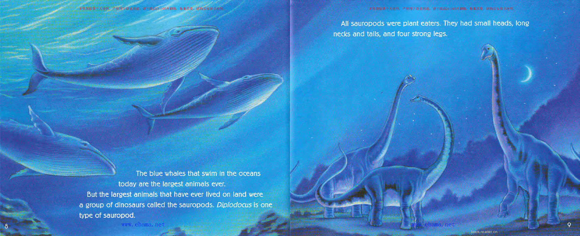 Dinosaurs Big and Small绘本故事第5页