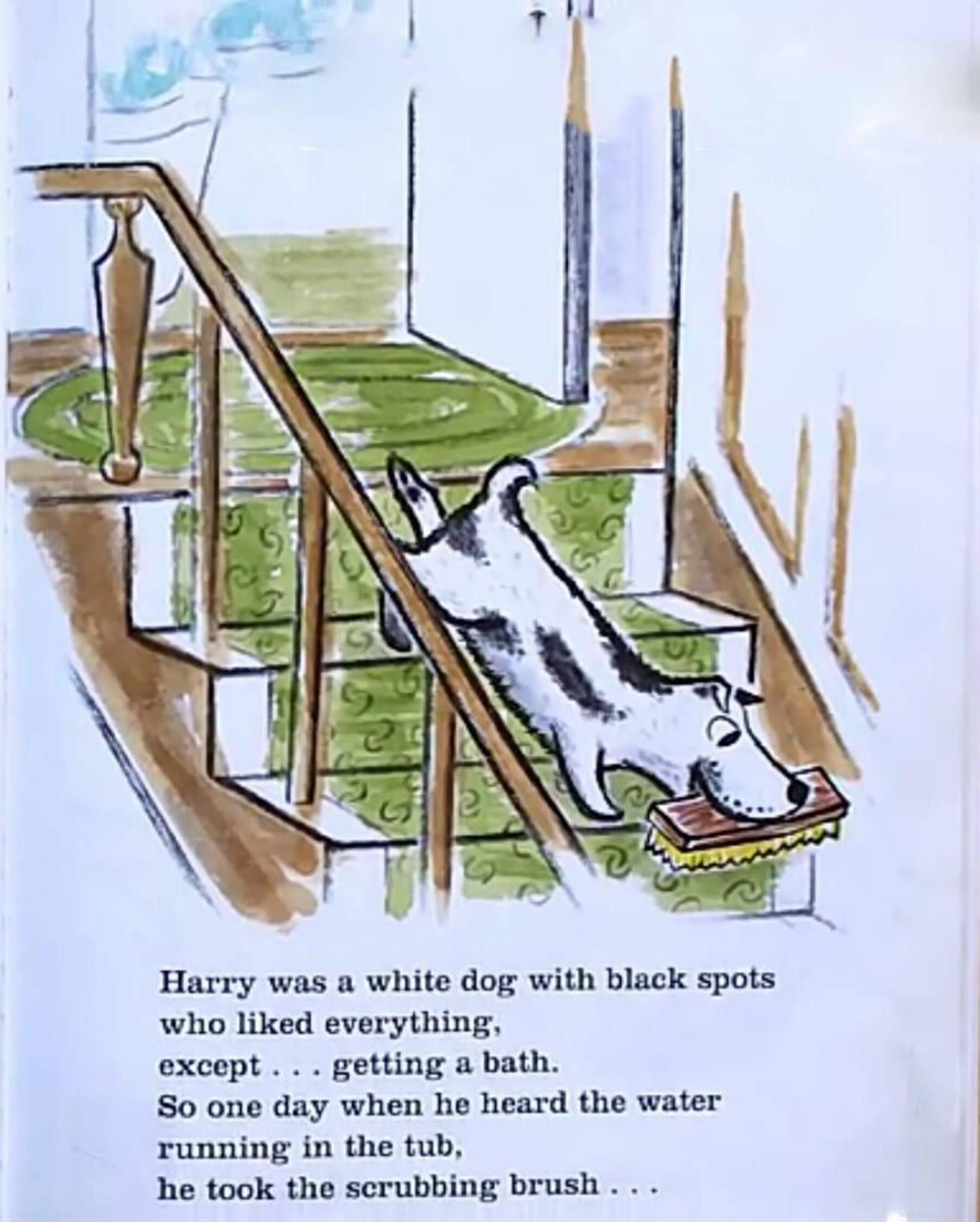 Harry the Dirty Dog绘本故事第3页