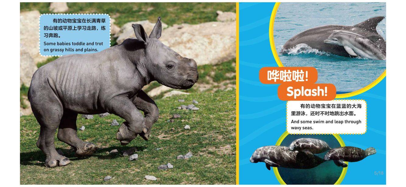 动物宝宝绘本故事第5页