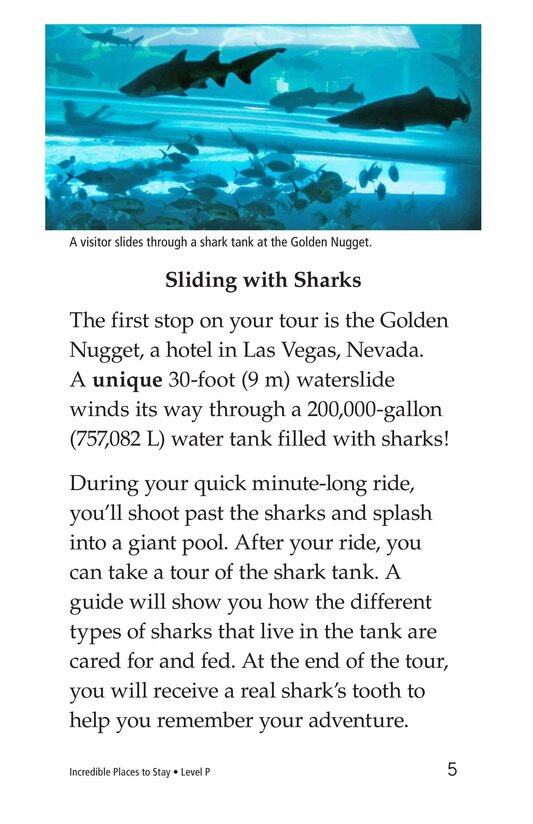 Incredible Places to Stay绘本故事第4页