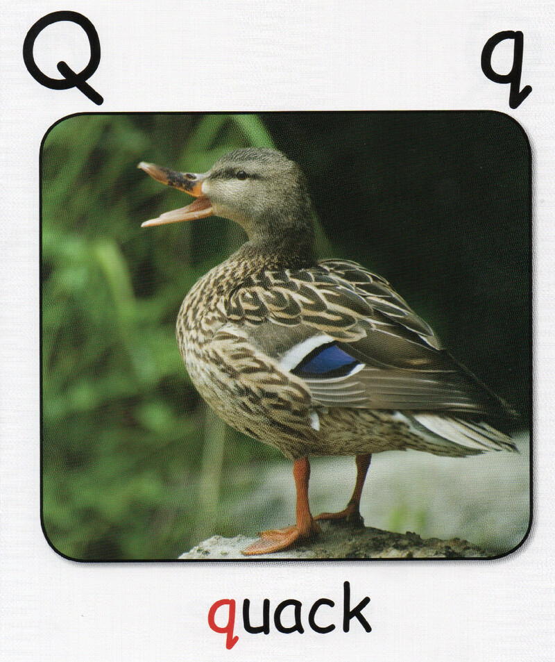 Q绘本故事第3页