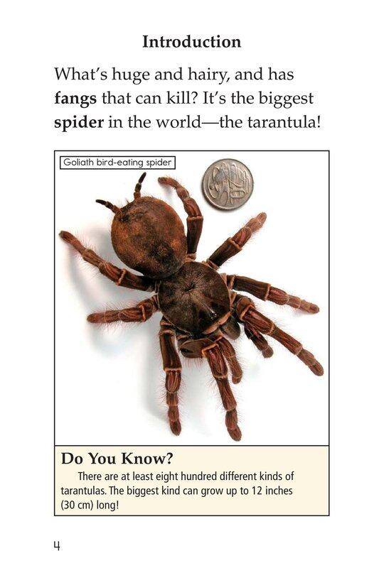 Tarantula!绘本故事第3页
