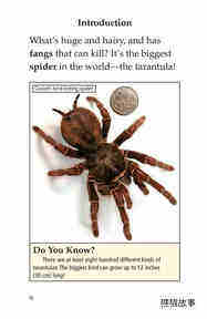 Tarantula!绘本故事第3页
