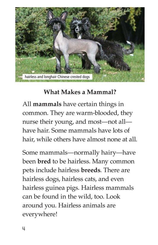 Where's Your Hair绘本故事第3页