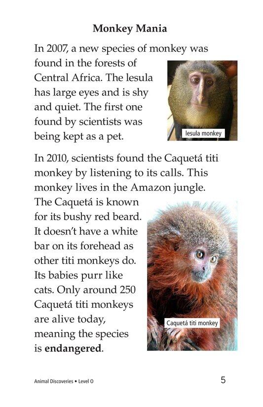 Animal Discoveries绘本故事第4页