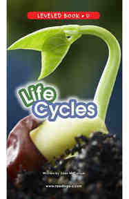Life Cycles