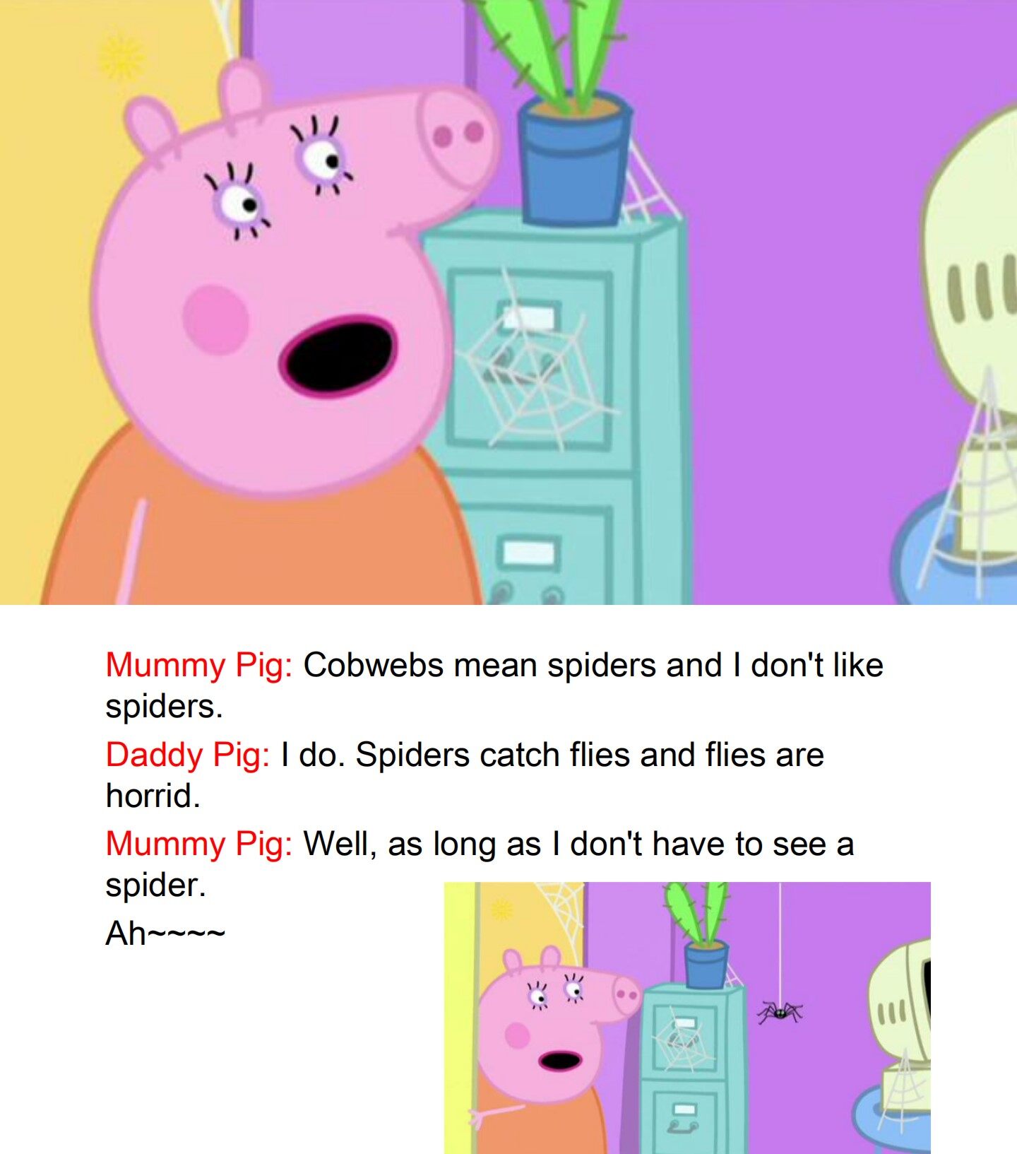 Spider Web绘本故事第4页