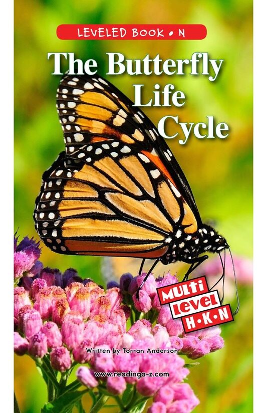 The Butterfly Life Cycle绘本故事第2页