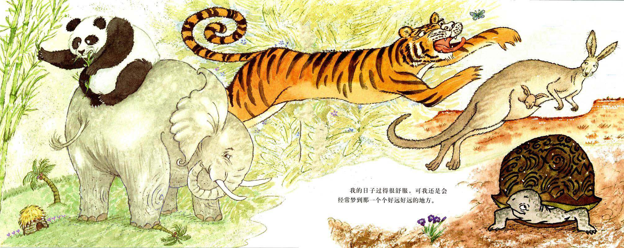 爱玛的乌龟绘本故事第4页