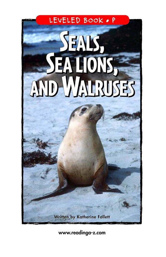 Seals,Sea Lions,and Walruses绘本故事第2页