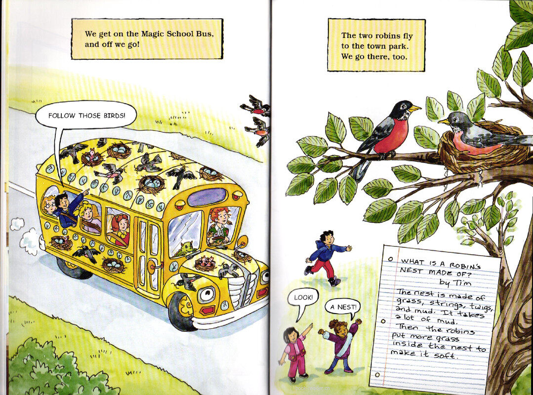 Magic School Bus Flies from the Nest绘本故事第5页