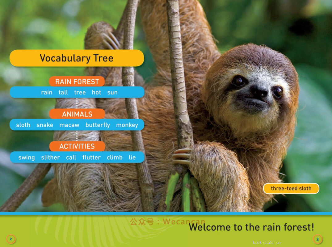 Swing Sloth绘本故事第3页