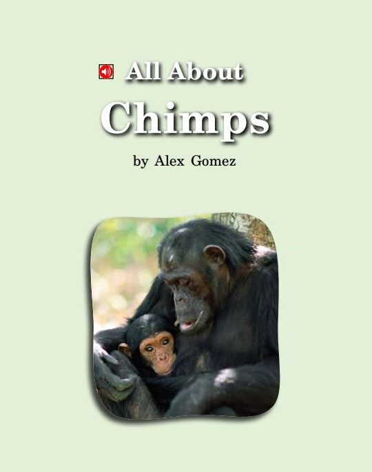All About Chimps绘本故事第2页