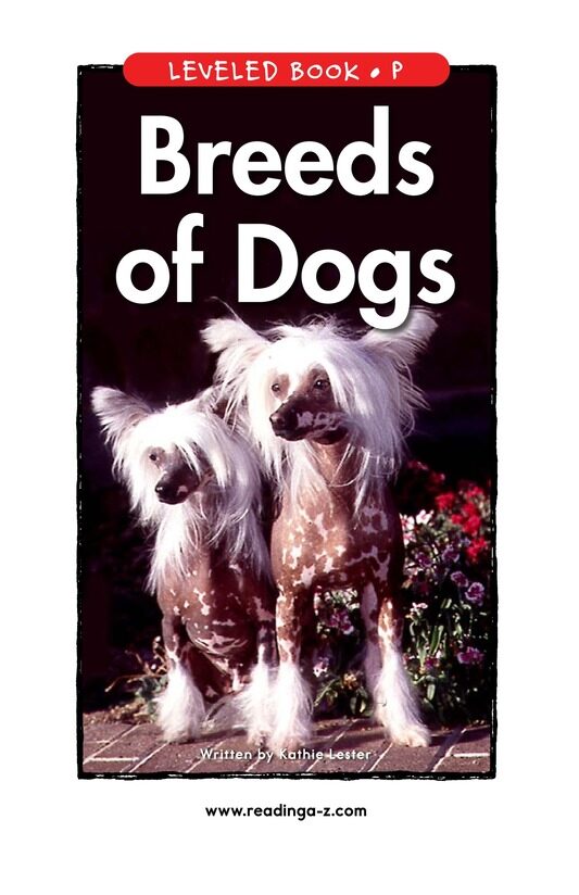 Breeds of Dogs绘本故事第2页