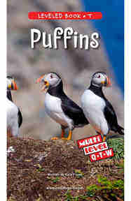 Puffins