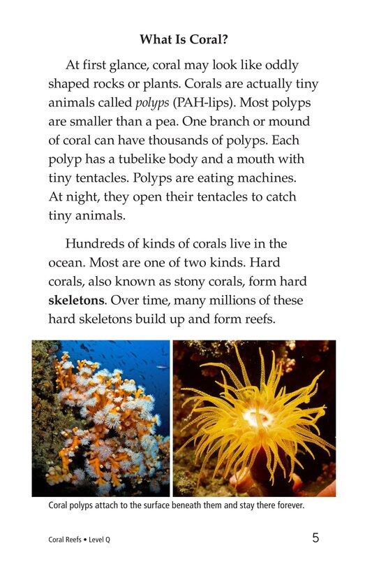 Coral Reefs绘本故事第4页