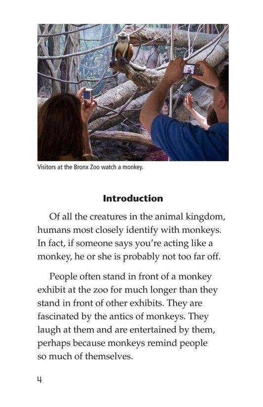 Monkey Business绘本故事第3页