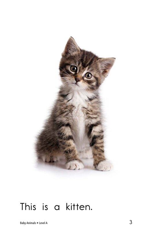 Baby Animals绘本故事第3页