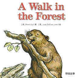 A Walk in the Forest