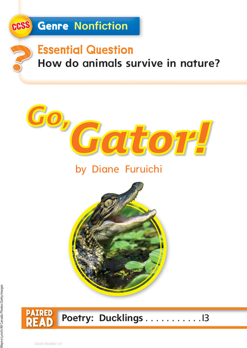 G1 ELL U4W3 Go,Gator!绘本故事第3页