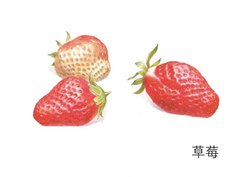 我们一起吃水果绘本故事第3页