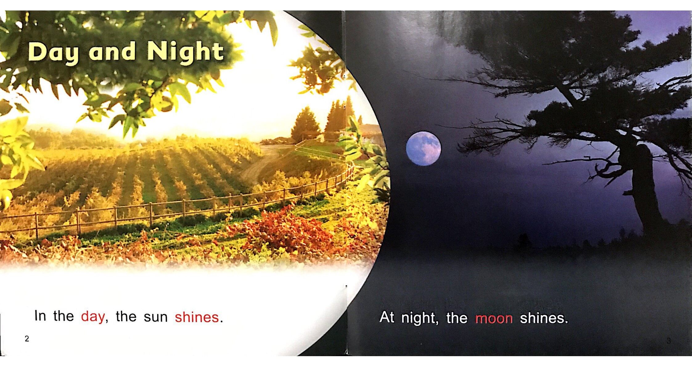 Day and Night绘本故事第3页