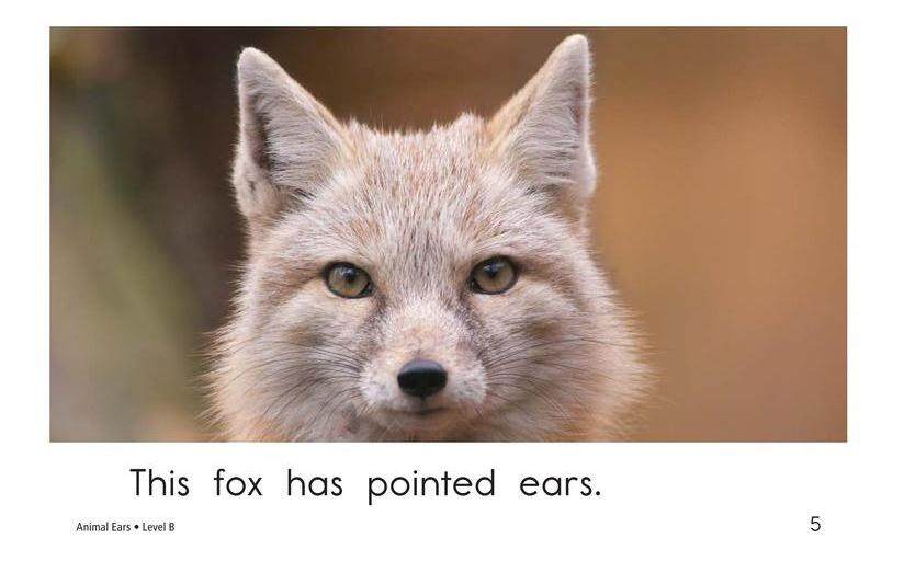 Animal Ears绘本故事第5页