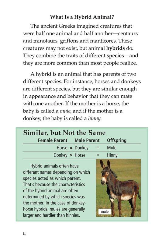 Hybrid Animals绘本故事第3页