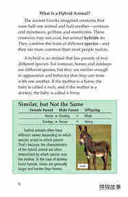 Hybrid Animals绘本故事第3页