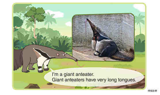 Giant Anteater绘本故事第3页