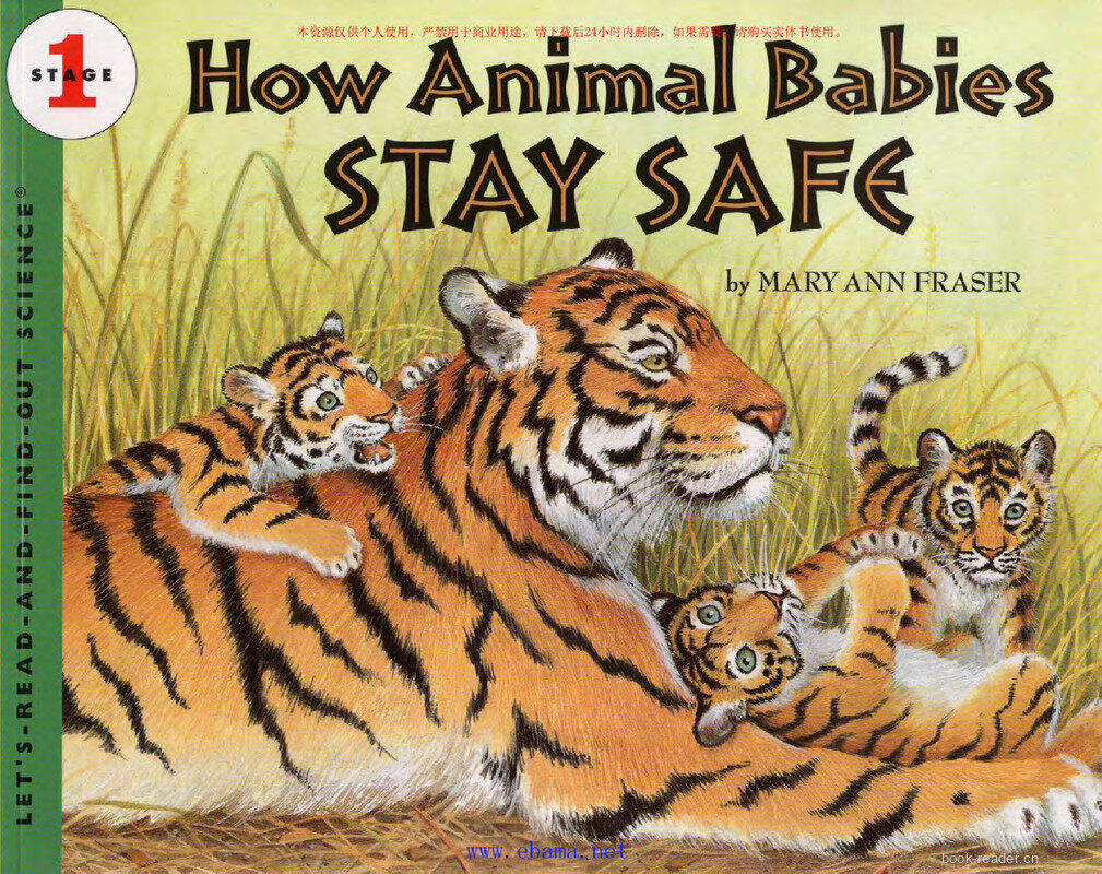 How Animal Babies Stay Safe绘本故事第2页
