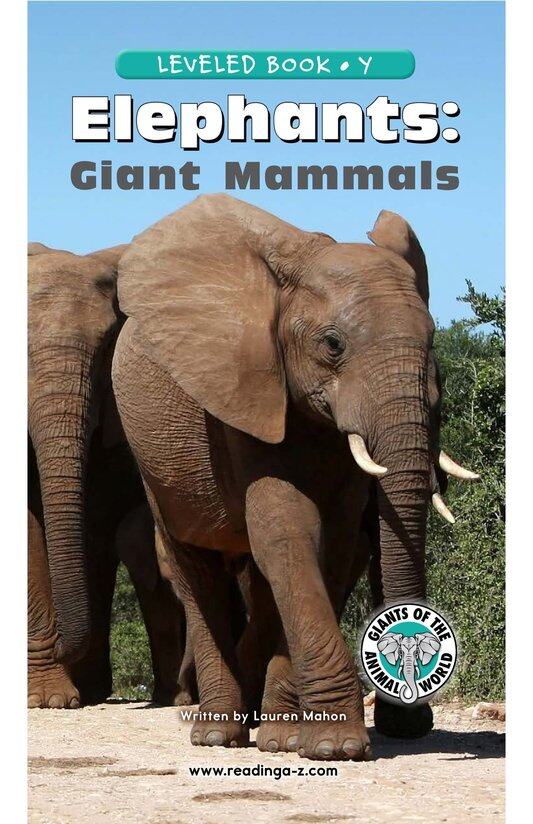 Elephants Giant Mammals绘本故事第2页