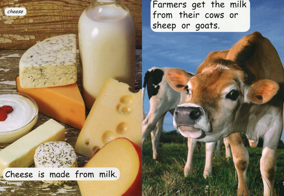 what is it made of绘本故事第4页