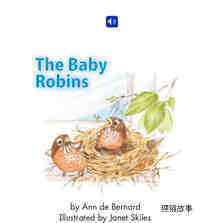 The Baby Robins绘本故事第2页