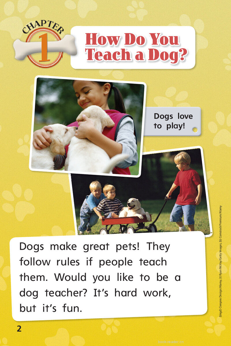 G1 On U4W5 Teach a Dog!绘本故事第4页